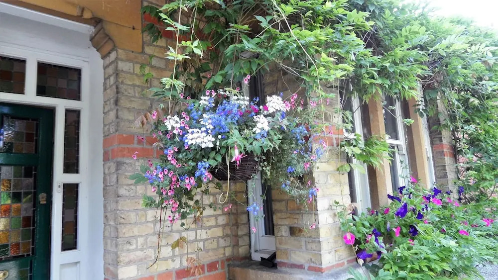 Ivy House B&B