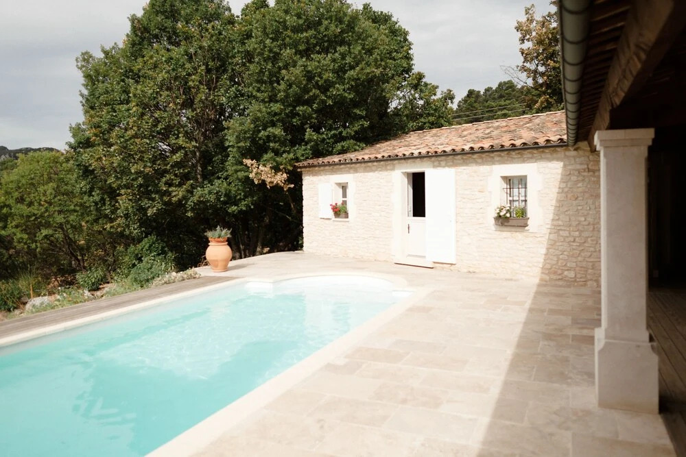 PROVENCE Dodo