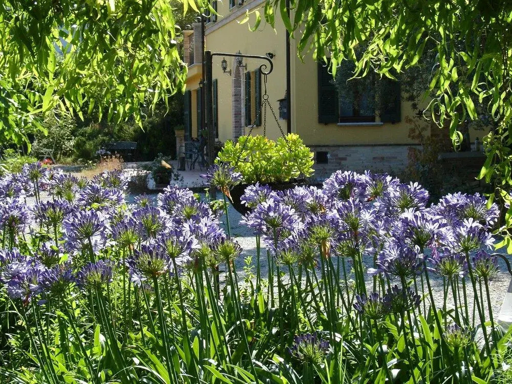 Bed & Breakfast Il Melograno