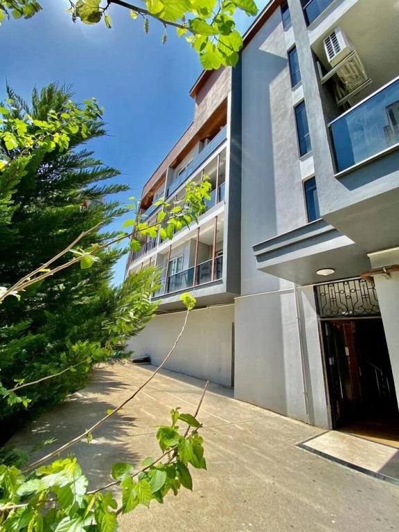 Palmiye Gold