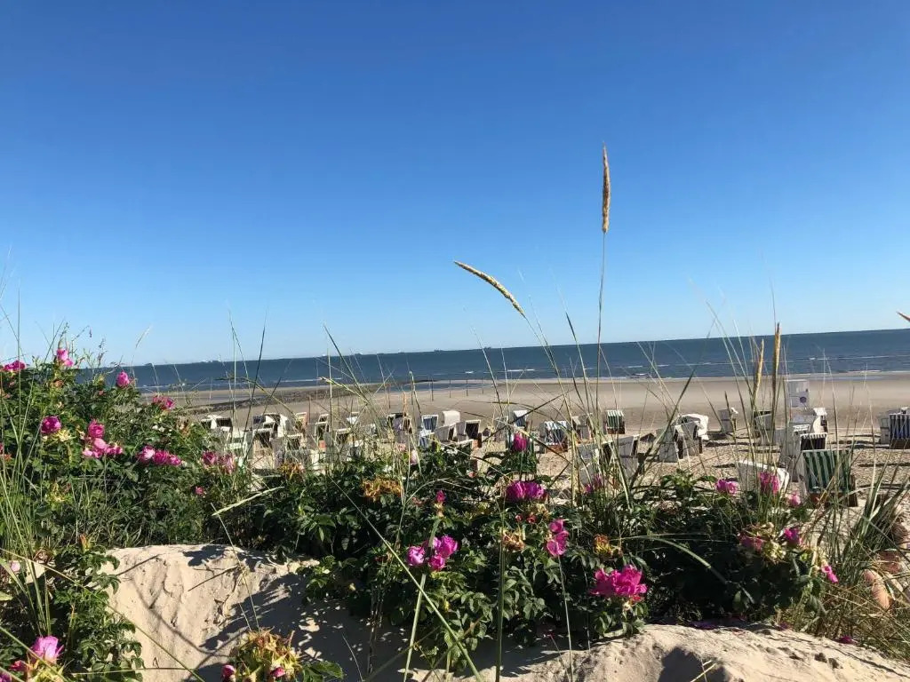 Ferienwohnung am Damenpfad