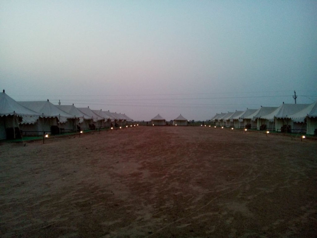 Amazing Desert Camp