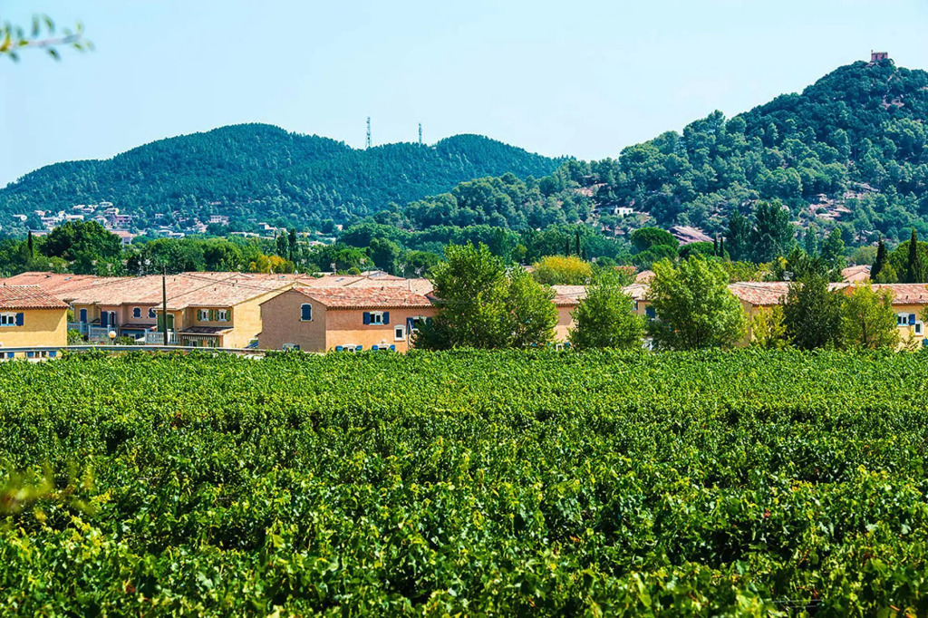 Terraced house standard in the residence Le Clos des Oliviers