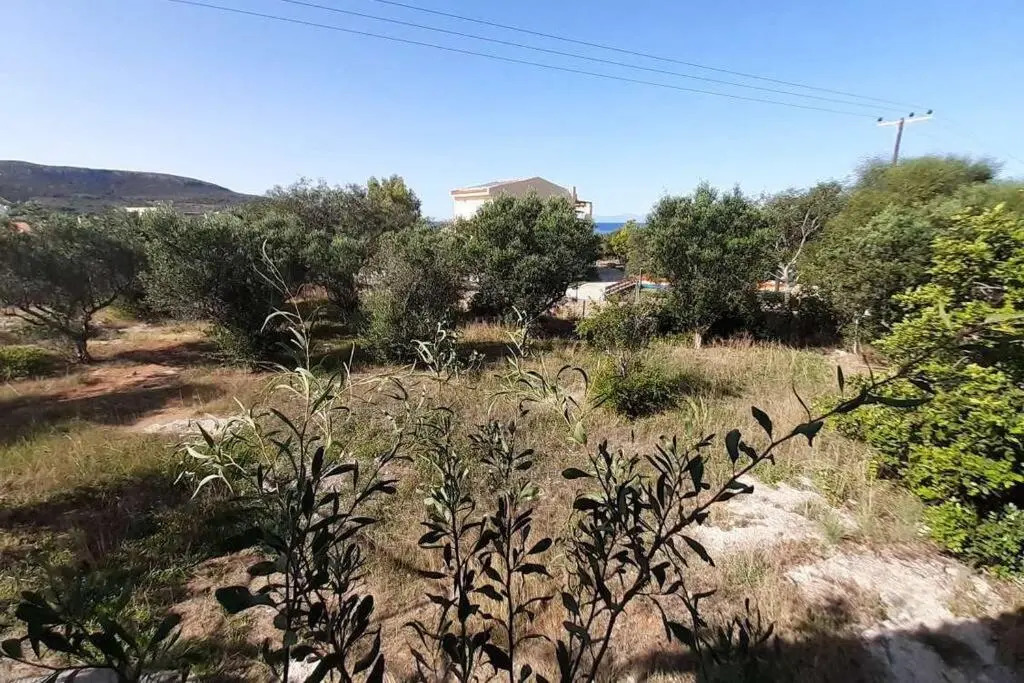 Elafonisos Detached House in Quiet Olive Grove, Starlink Internet & Smart Projector!