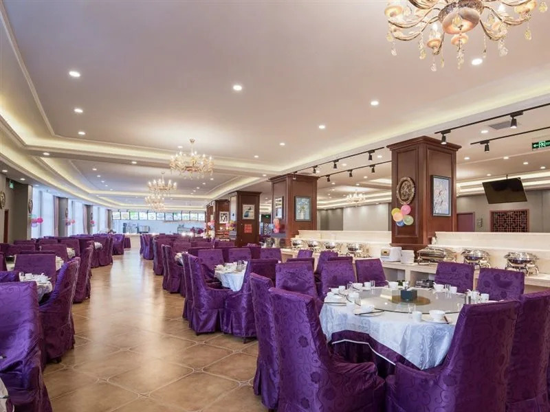 Vienna International Hotel (Gu'an New Airport)