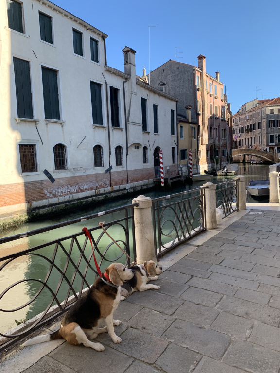 Palazzo Contarini Della Porta Di Ferro