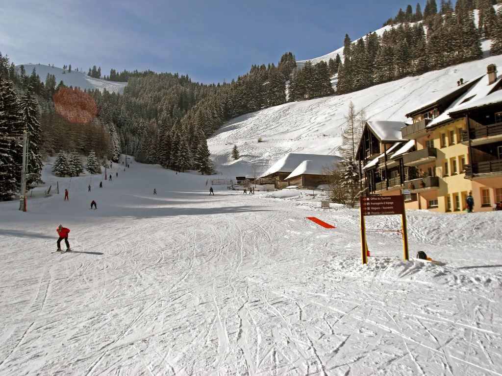 Chalet 1005