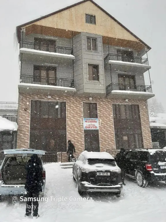 hotel david goderdzi