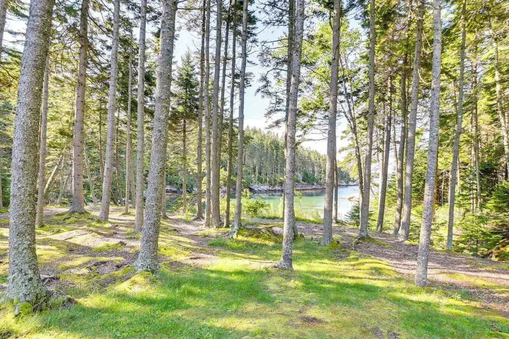 Waterfront Deer Isle Retreat w/ Fire Pit!
