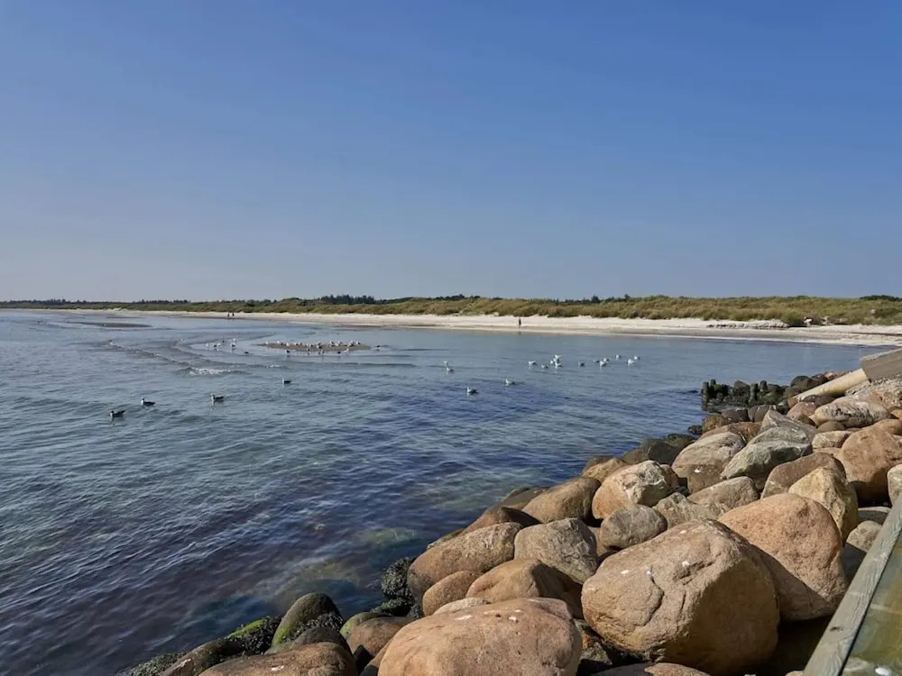 6 Person Holiday Home in Albaek