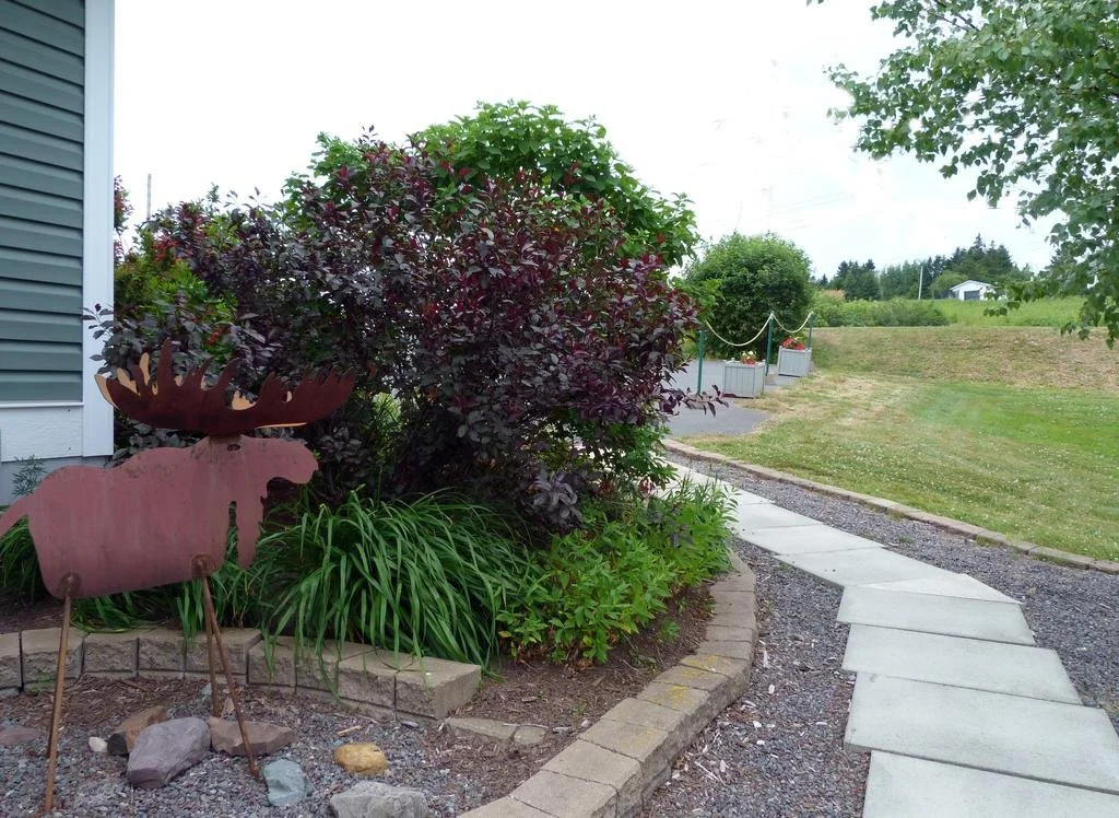 Rose and Thistle Bed and Breakfast