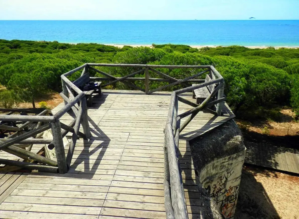 Rota Mar