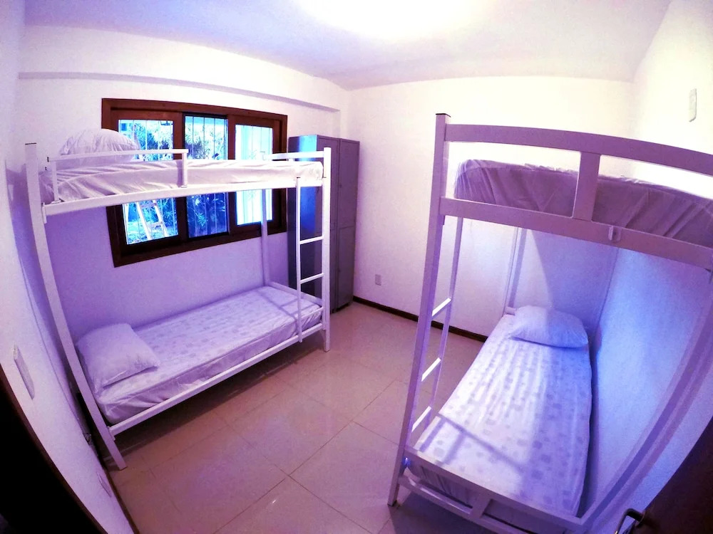 Sea Wolf Surf Hostel Campeche