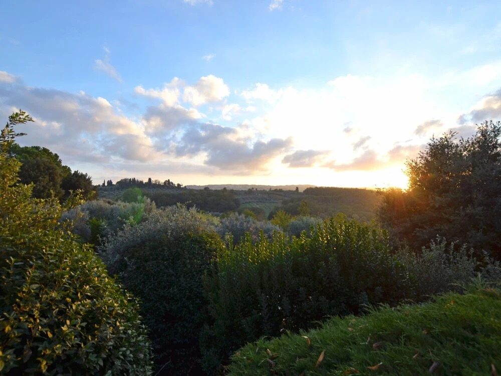 Il Giardino Della Pineta Varna