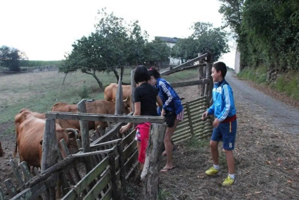 Las Golondrinas