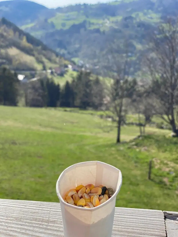 LE VERTBRUCHE - Gite avec superbe vue pour 15 pers