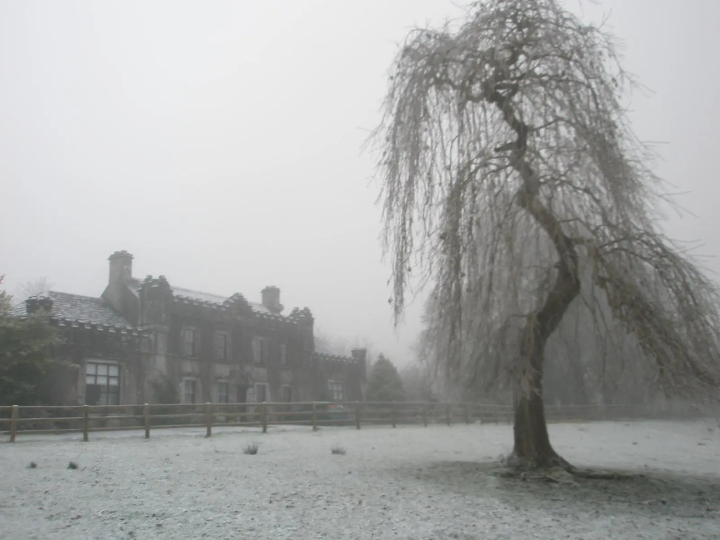 Newpark House