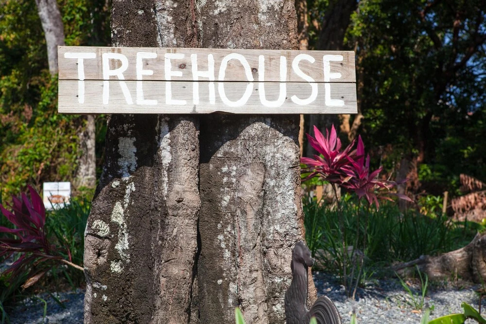 Tree House on Linda Vista Drive