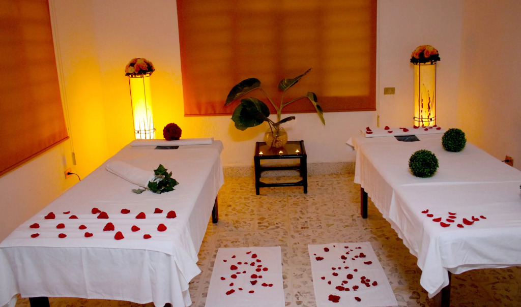 Hotel Spa Taninul
