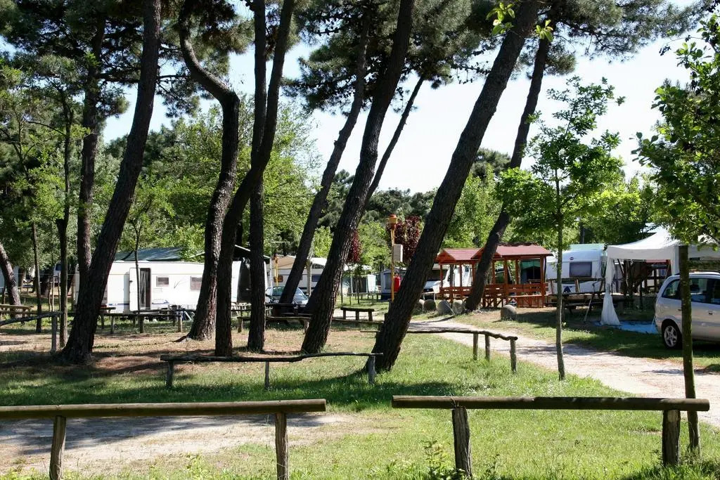 Romea Family Camping
