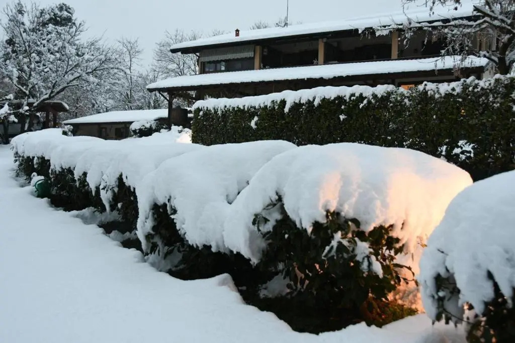 Appartamentino in AZ.AGRICOLA - MALPENSA- LAGO MAGGIORE-