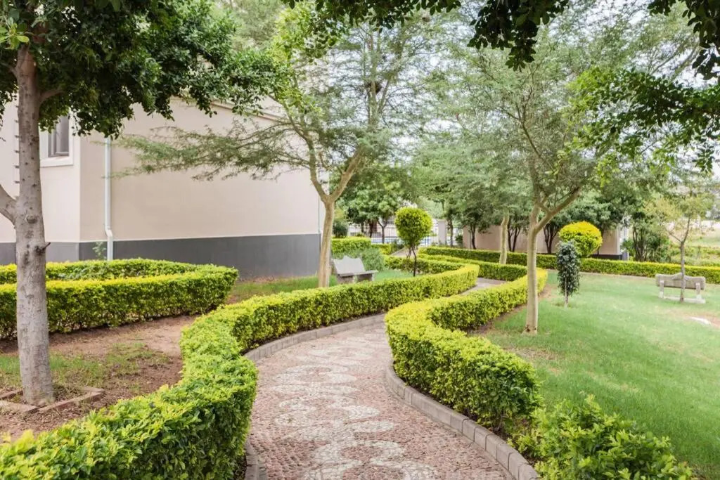 Alimama Spaces: Manson's Rosa Royale