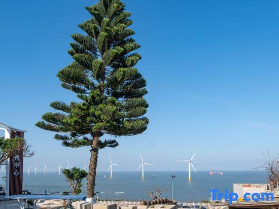 Pingtan Orange Tree Sea View Homestay