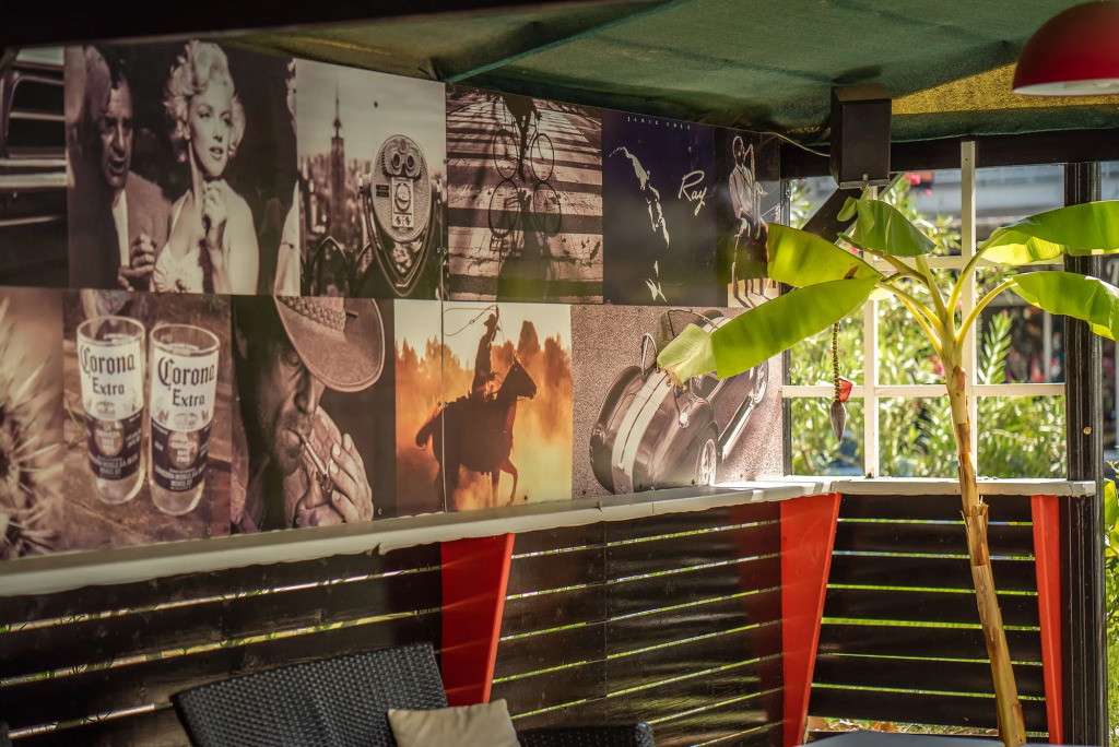 Cactus Hotel