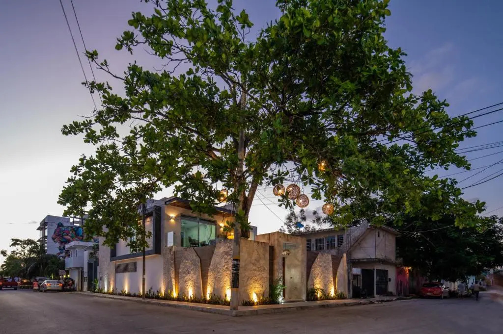 Casa del Arbol