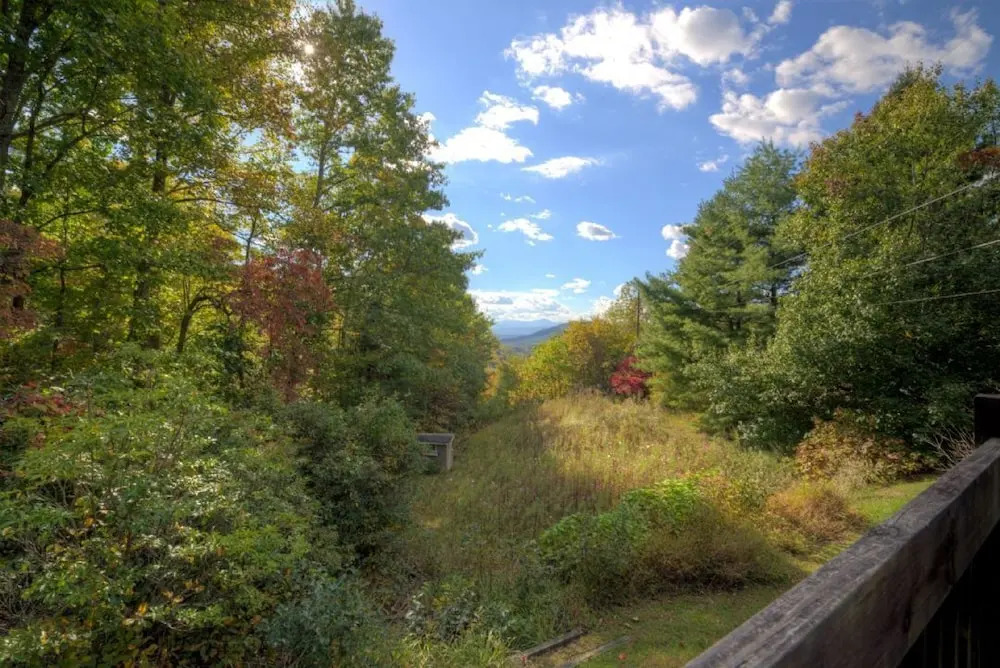 Wildflower Mountain Cottage - 3 Br Home