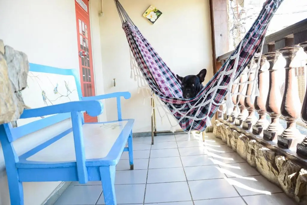 Hostel BH