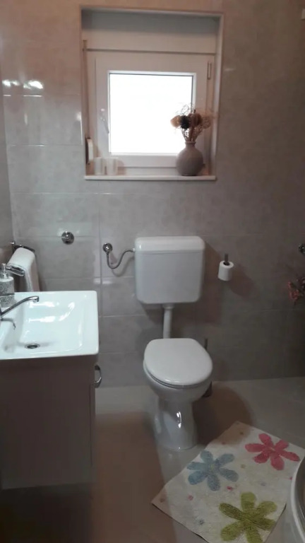 Apartment Branka