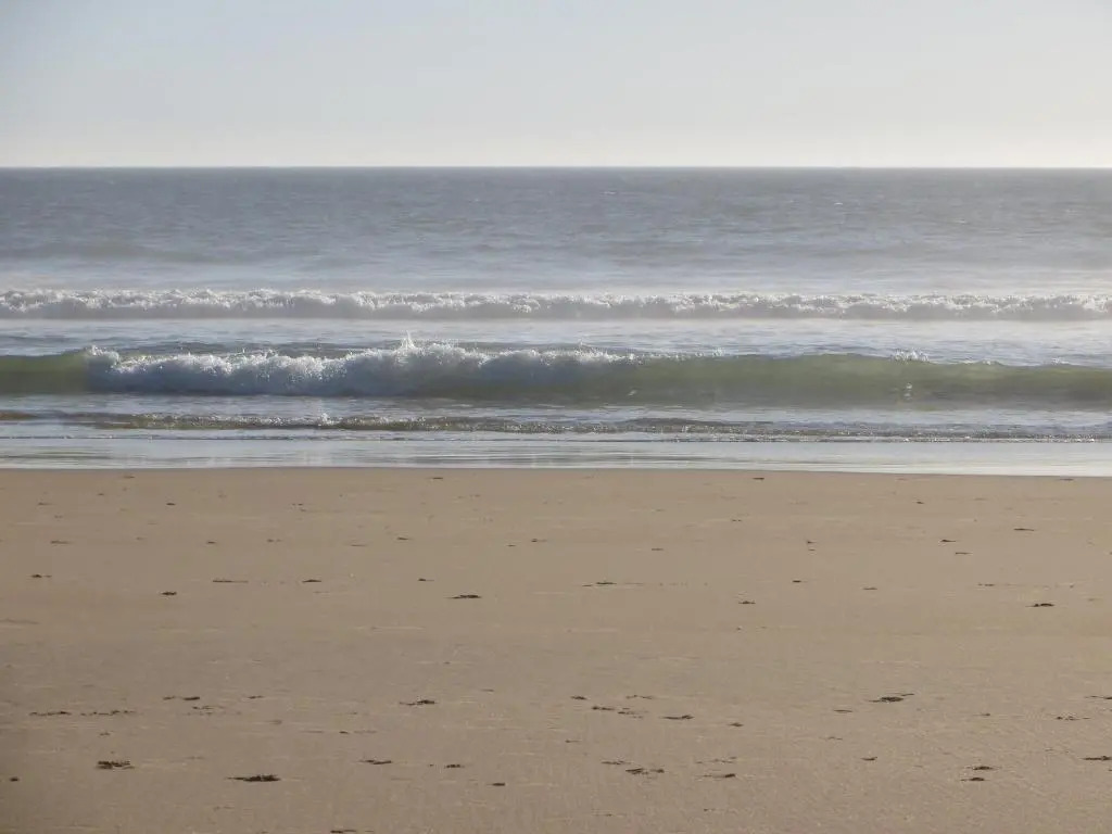 Caparica for Rent