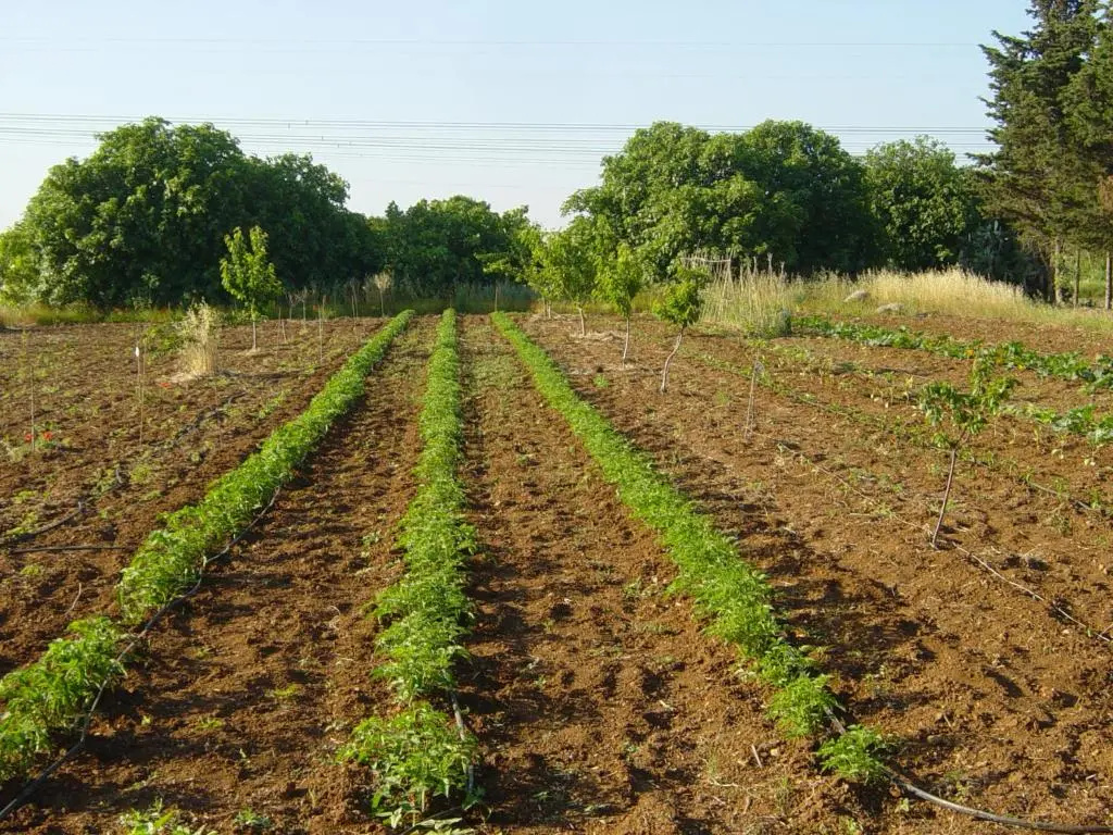Tenuta Argiano