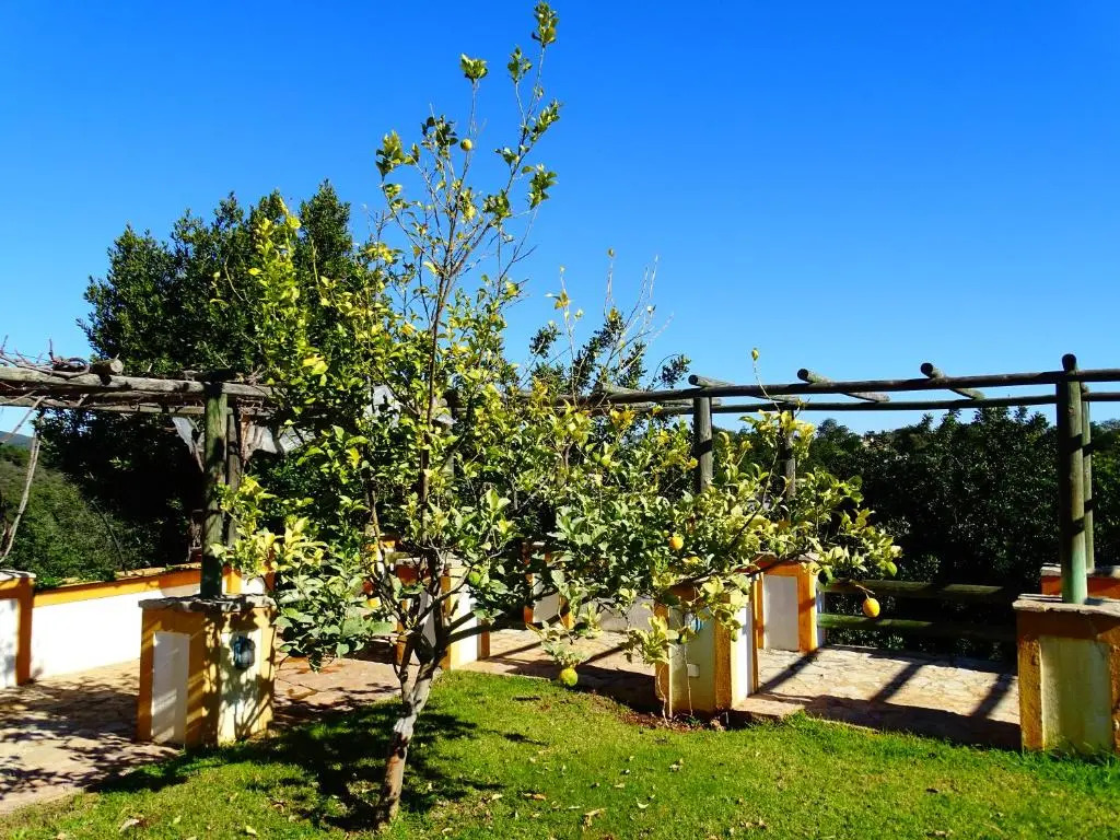 Villa Quinta do Julião