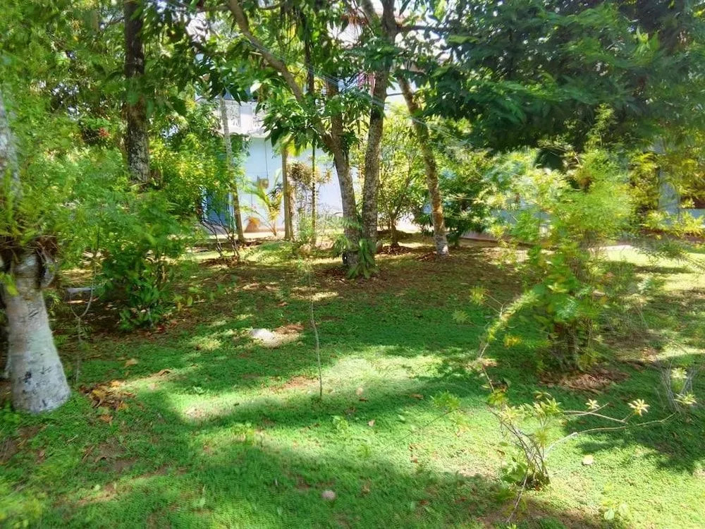 Randi Guest House