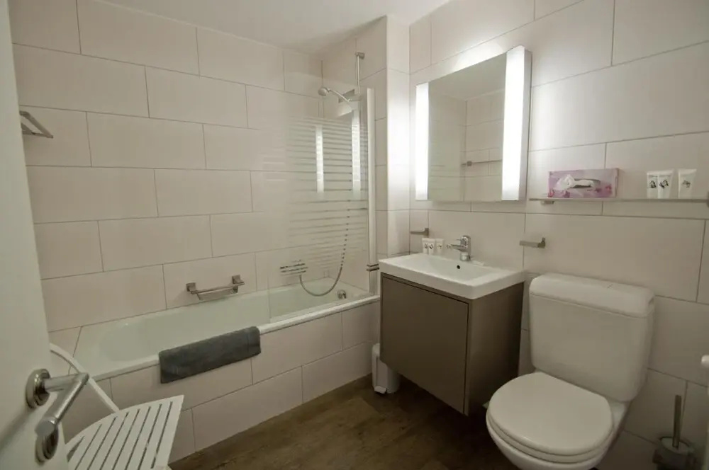 Haus Bodmen C Apartment Edelweiss