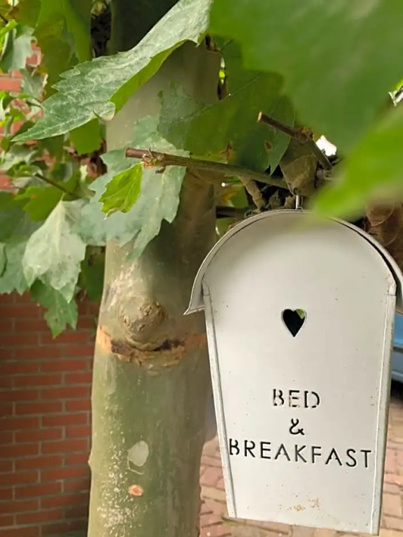 Bed & Breakfast "aan de banis"