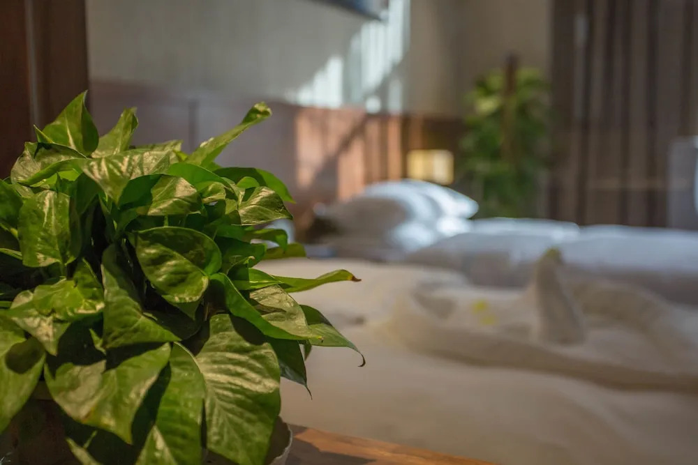 Yantai Dexin International Hotel