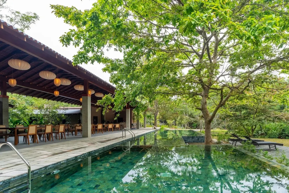 Cascara Weligama