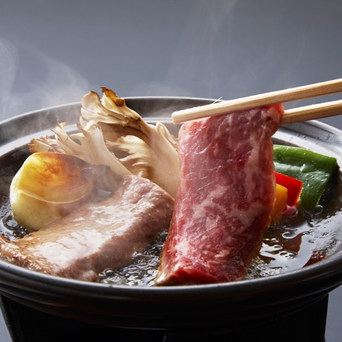 Yunokoya Onsen Hito no Yado Ryudo
