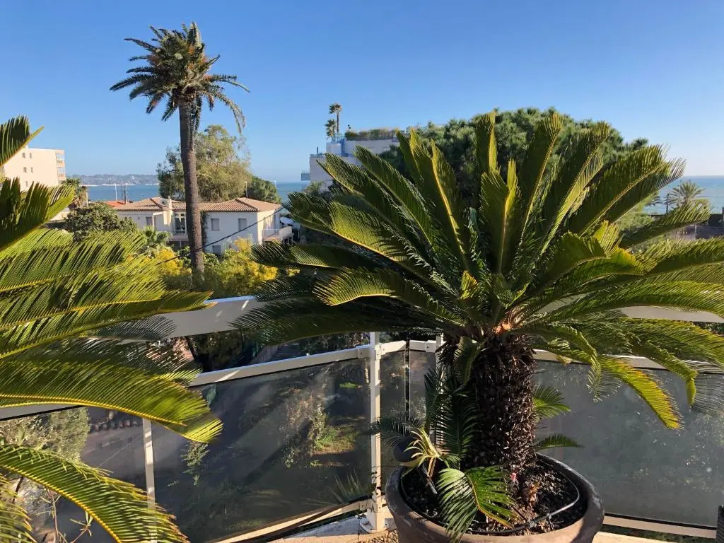 Gorgeous one-bedroom apartment with terrace and sea view