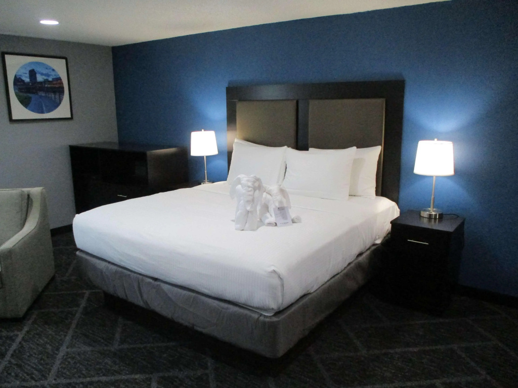 Best Western Rochester Hotel Mayo Clinic Area/ St. Marys