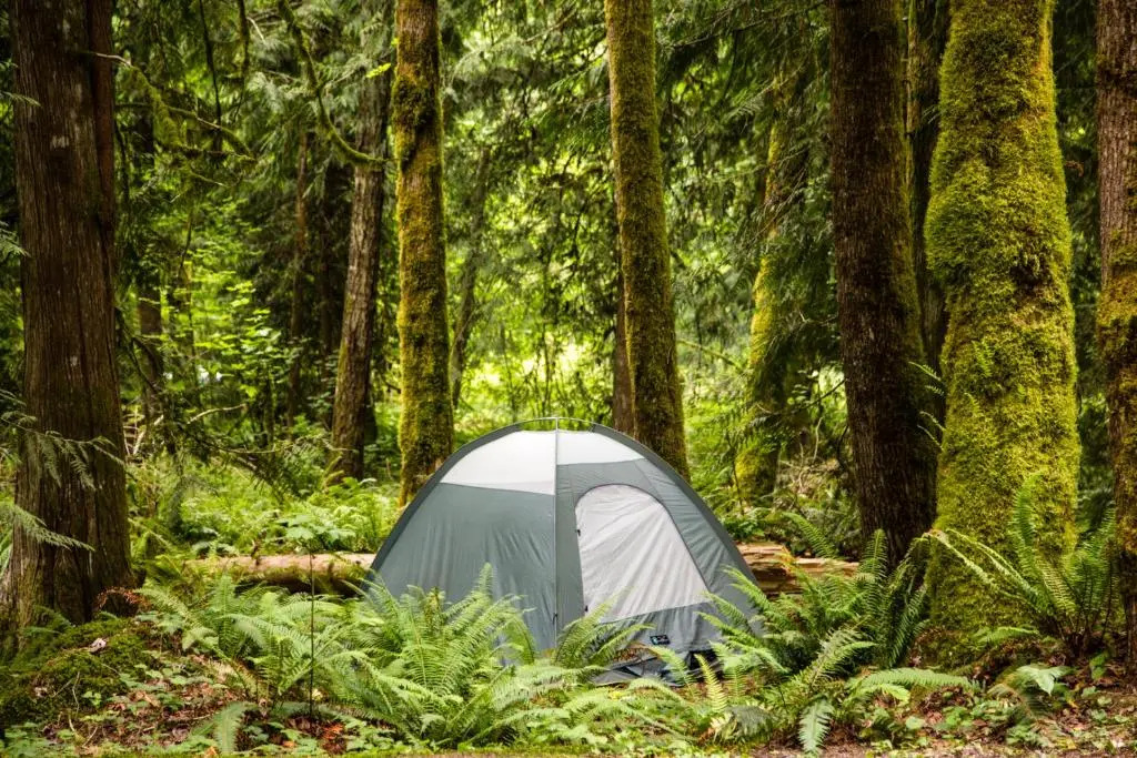Mount Hood Village Premium Yurt 4