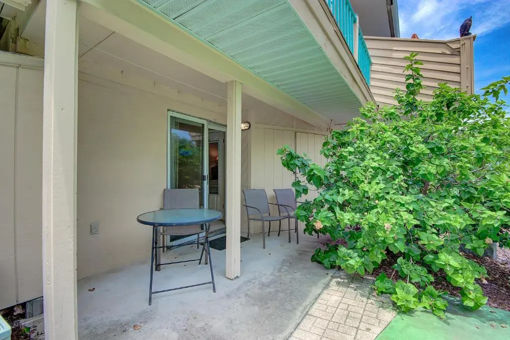 Five Palms Suite 109 - Daily - Weekly - Monthly