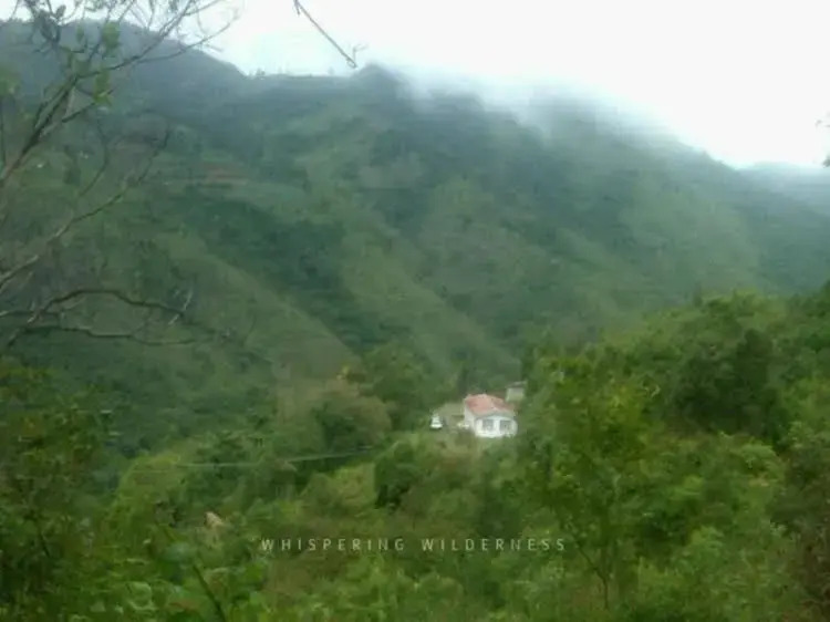 Hotel Whispering Wilderness - Sholur