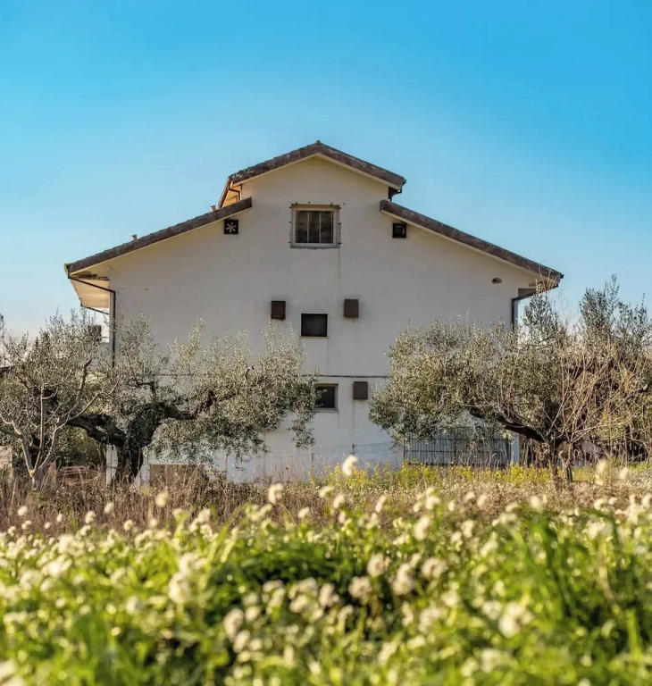 CA MARTELLI campo di stelle