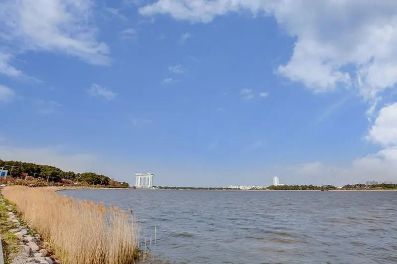 Gangneung Gyeongpo Sea Travel Pension (Riverview)