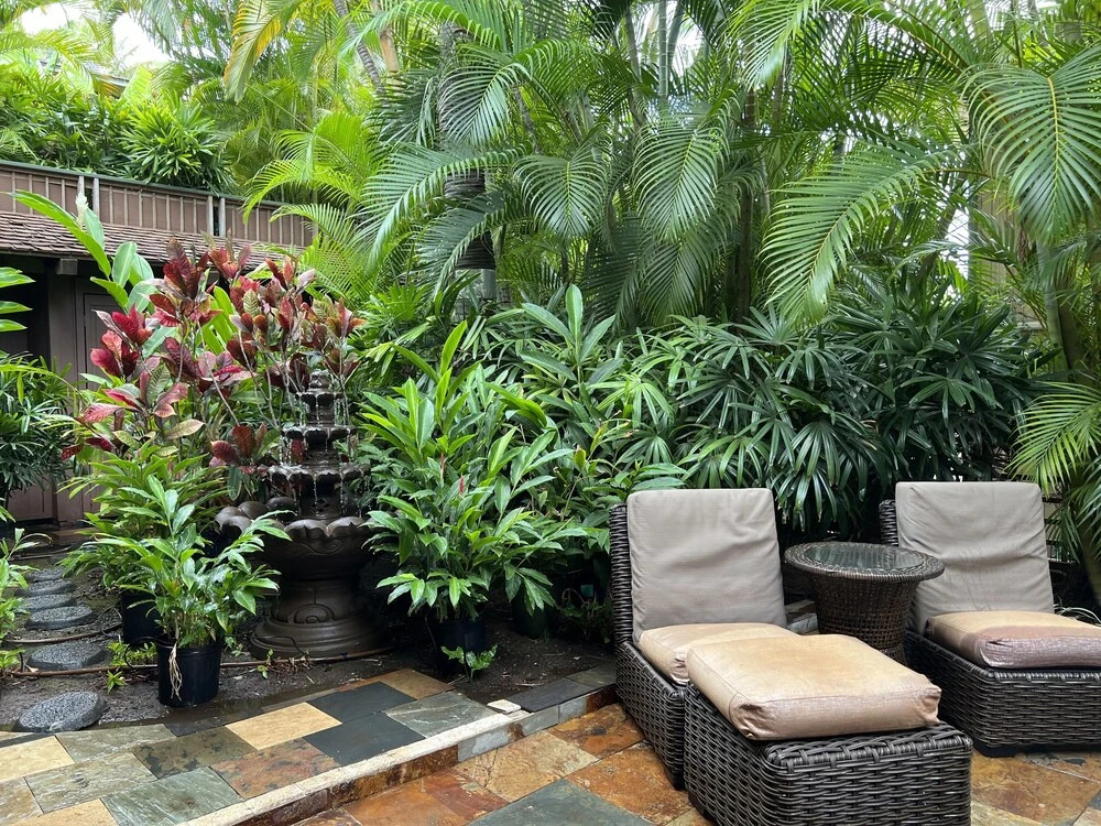 Guava Suite