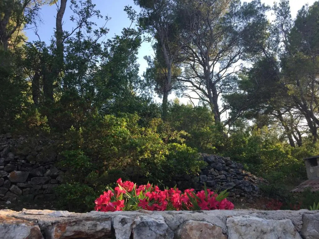 Vila Familia Hvar